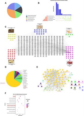 Integrated network pharmacology and serum metabolomics approach deciphers the anti-colon cancer mechanisms of Huangqi Guizhi Wuwu Decoction